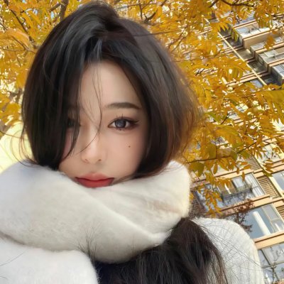 消失的大象